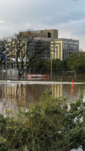 Visão do prédio da JFRS através do Parque Harmonia